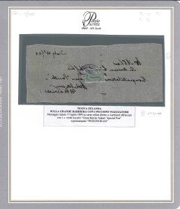 NUOVA ZELANDA PIGEONGRAM 1899 - ... 