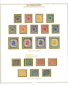 CIRENAICA AMMINISTRAZIONE ... 