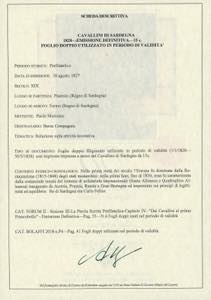 1827 - 15 cent. Cavallino, ... 