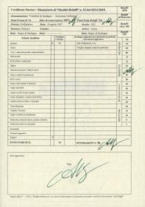 1827 - 15 cent. Cavallino, ... 