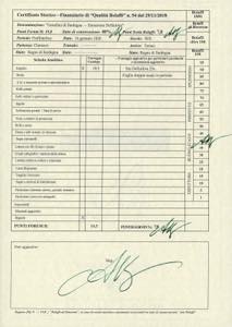 1826 - 25 cent. Cavallino, ... 