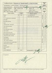 1826 - 50 cent. Cavallino, ... 